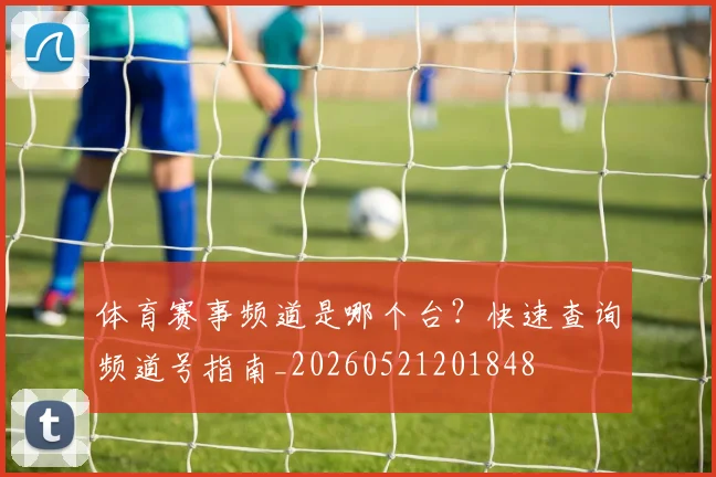 体育赛事频道是哪个台？快速查询频道号指南_20260521201848