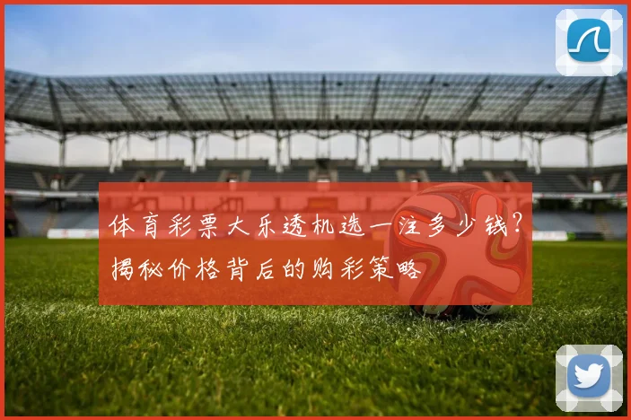 体育彩票大乐透机选一注多少钱？揭秘价格背后的购彩策略