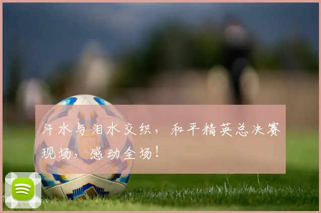 汗水与泪水交织，和平精英总决赛现场，感动全场！