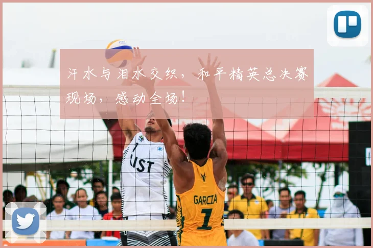 汗水与泪水交织，和平精英总决赛现场，感动全场！